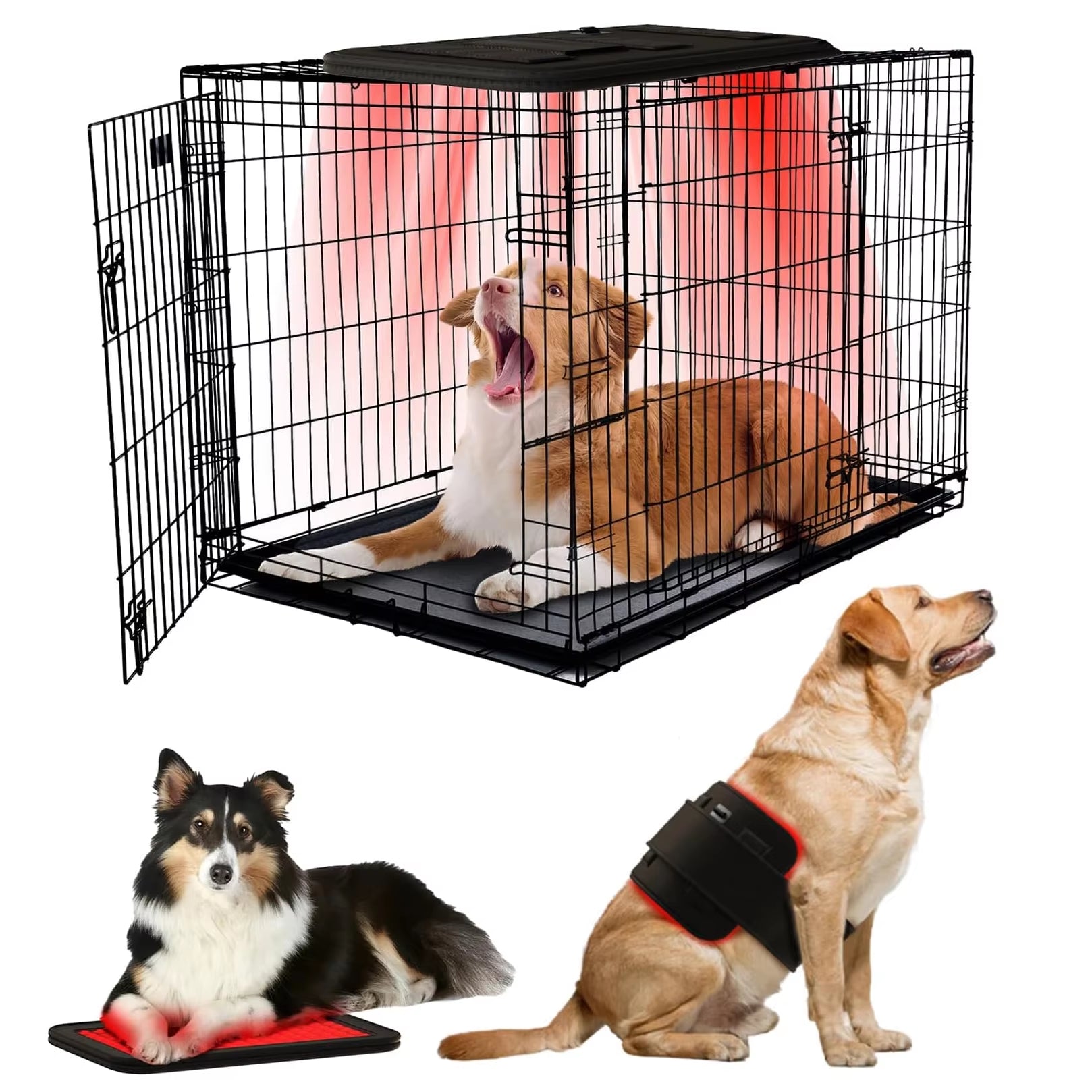 Red Light Therapy Belt for Animals Joint Pain Skin Disease 660Nm 808Nm 384 Diodes Cold Laser Therapy Device for Pets Pain Relief