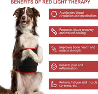 Red Light Therapy Belt for Pets