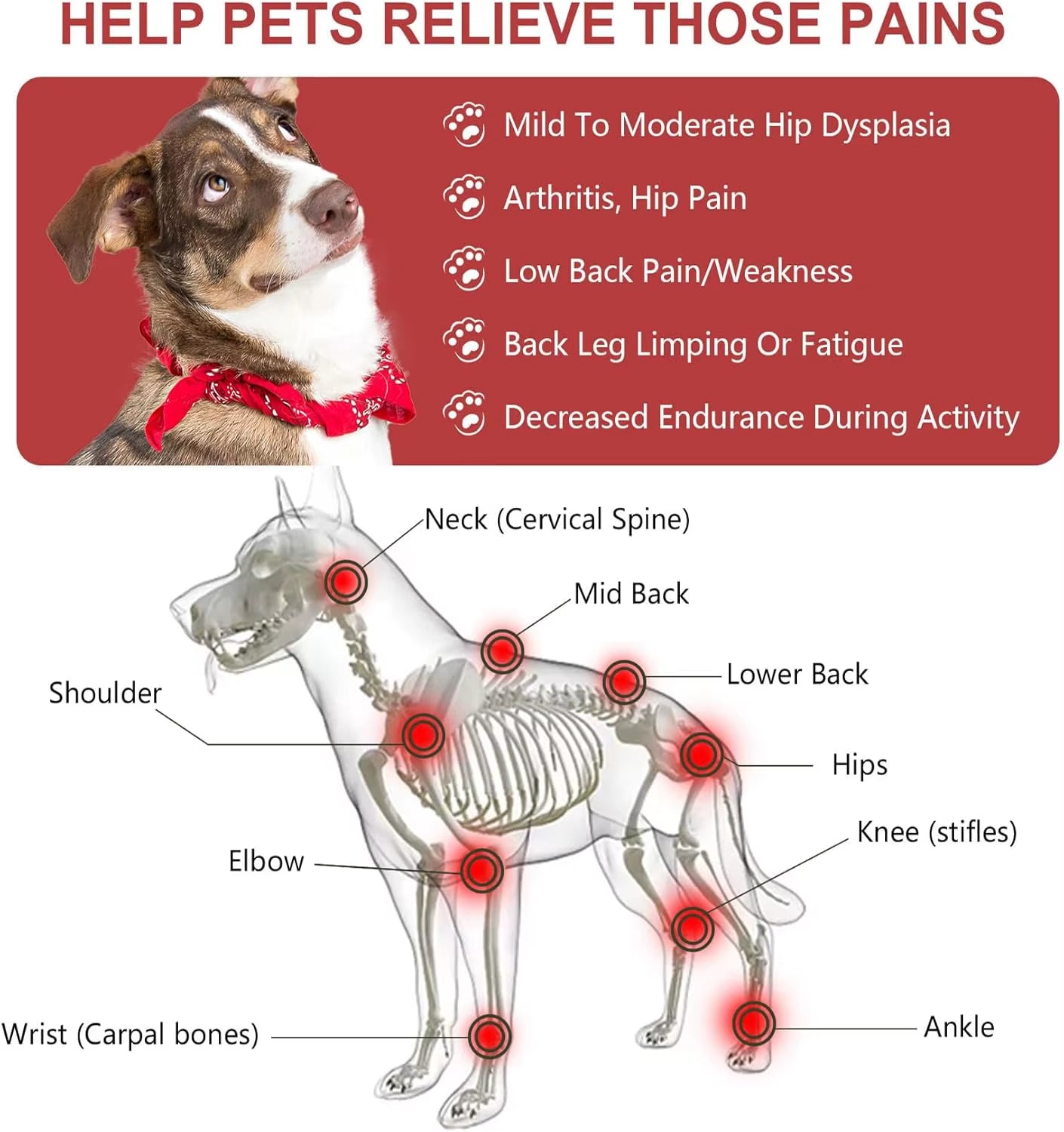 Red Light Therapy Belt for Animals Joint Pain Skin Disease 660Nm 808Nm 384 Diodes Cold Laser Therapy Device for Pets Pain Relief