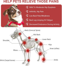 Red Light Therapy Belt for Pets