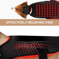 Pet Red Light Therapy Device