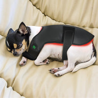 Pet Red Light Therapy Device