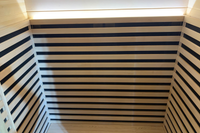 Full Spectrum Infrared Sauna With Red Light Therapy