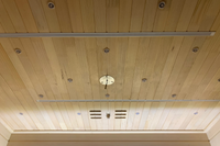 Full Spectrum Infrared Sauna With Red Light Therapy