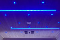 Full Spectrum Infrared Sauna With Red Light Therapy