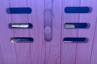 2 Person Infrared Sauna With Red Light Therapy