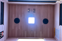 2 Person Infrared Sauna With Red Light Therapy