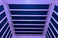 2 Person Infrared Sauna With Red Light Therapy