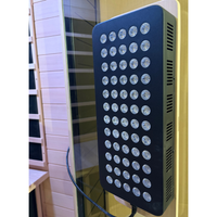 2 Person Infrared Sauna With Red Light Therapy