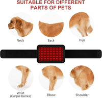 Red Light Therapy Belt for Pets