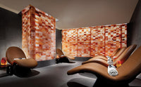 Himalayan Salt Sauna Bricks   