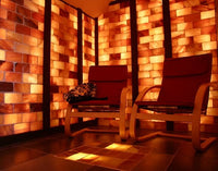 Himalayan Salt Sauna Bricks   