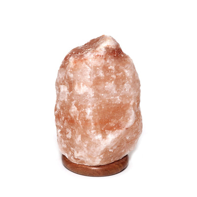 500lbs Himalayan Salt Lamp    