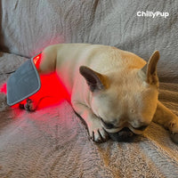 Targeted Red Light & Infrared Therapy Wrap Pad for Pets