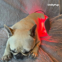 Targeted Red Light & Infrared Therapy Wrap Pad for Pets